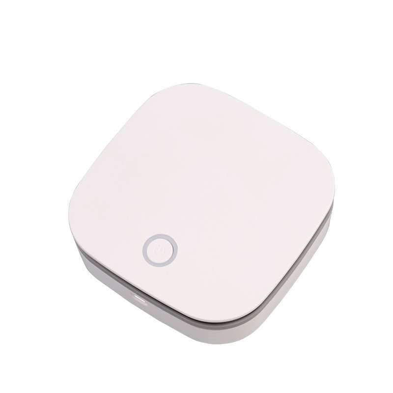 Ozone Disinfector