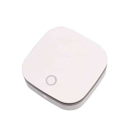 Ozone Disinfector